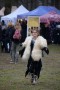 Thumbs/tn_Castlefest winteredition 2016 Zaterdag 026.jpg